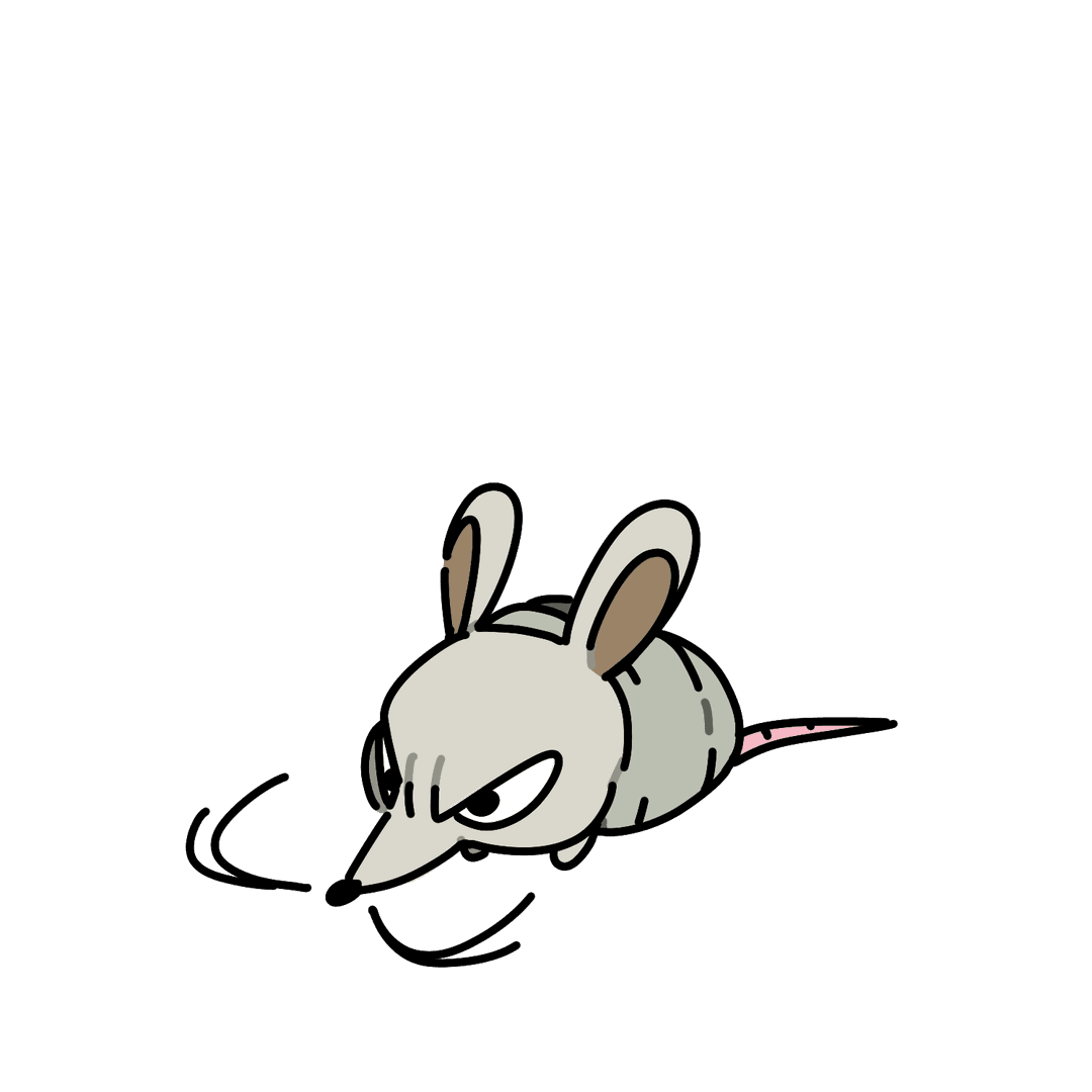 Cochita
